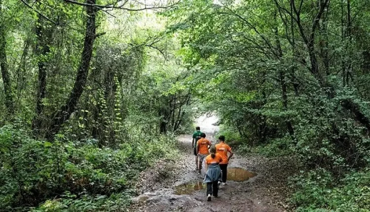 İBB Doğa Kampı Kayıtları Başladı: Başvurular Nasıl Yapılır, Kimler Katılabilir?