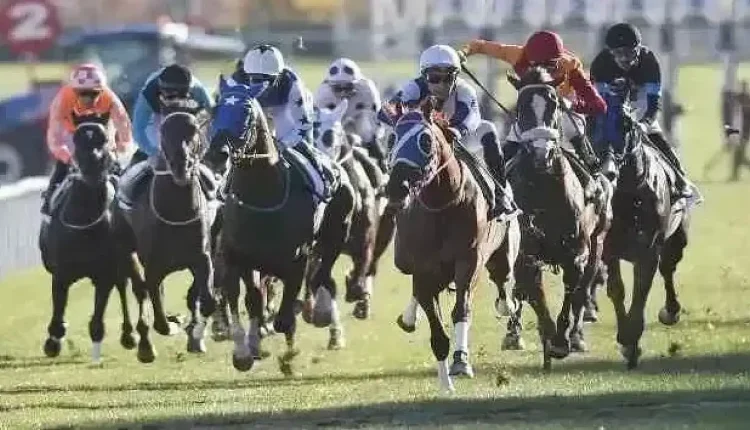 26 Temmuz 2025 Cumartesi Ankara at yarışı sonuçları!