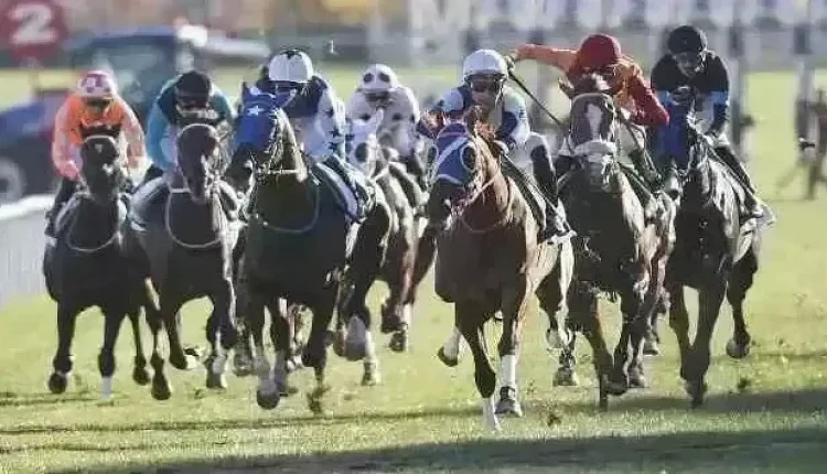 26 Temmuz 2025 Cumartesi İzmir At Yarışı Sonuçları!