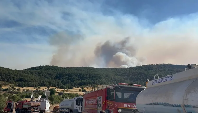 Eskişehir yangın neden çıktı, son durum ne? (Son Dakika)