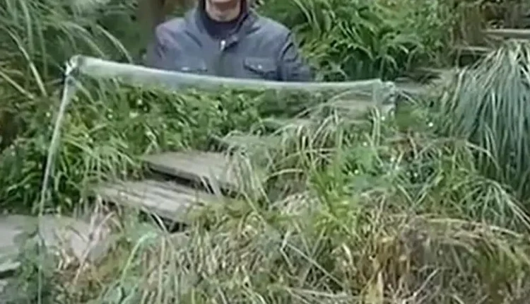 Görünmezlik Pelerini Gerçek mi?