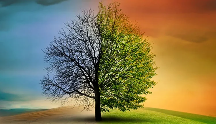 İklim Kanunu Neden İstenmiyor, Tepki Çekiyor?