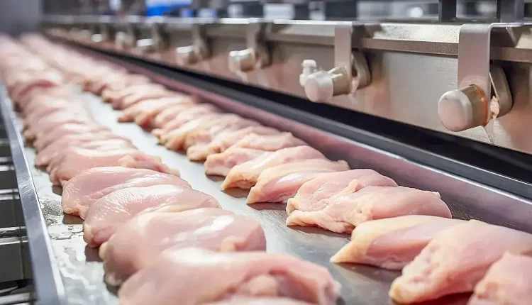 Mekanik Ayrılmış Kanatlı Eti Ne Demek?