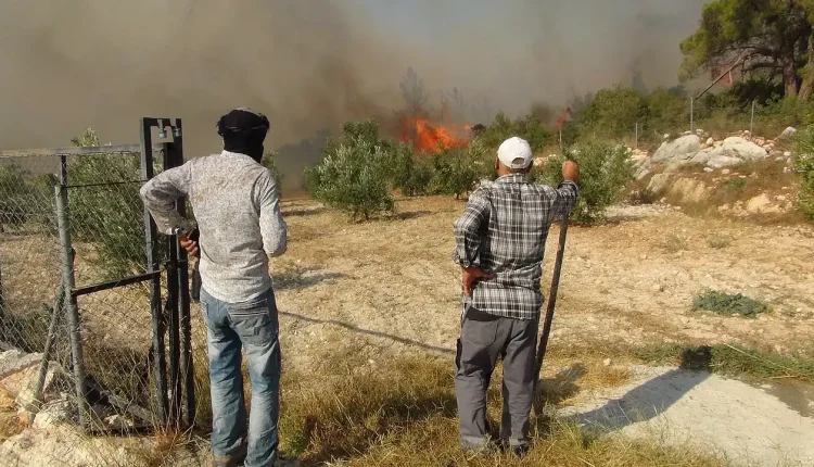 Mersin Silifke orman yangını söndürüldü mü? (Son dakika)