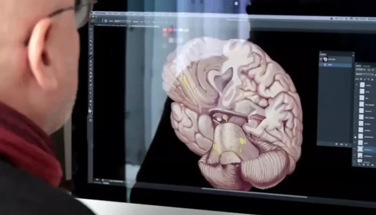 Tıp kaçla kapattı, Tıp sıralaması geçen yıl kaçtı? Tıp taban puanları 2025 kaç?