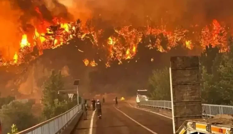 Yangın şehidi Sercan Ütni nereli, evli mi? Sercan Ütni kimdir?