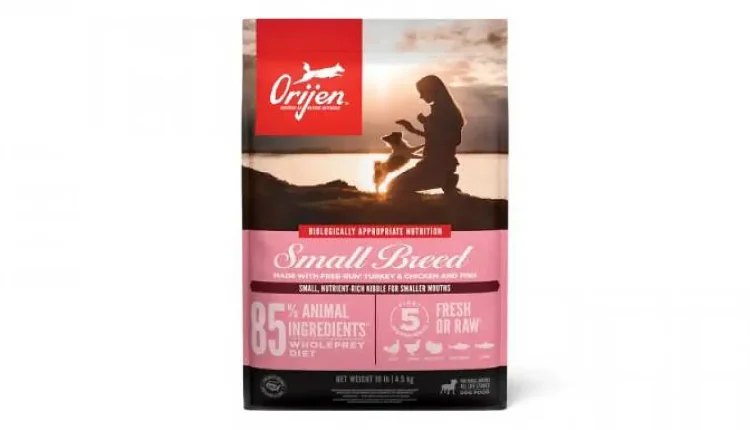 2025 İçin En İyi Köpek Mamasını Belirleyen Öneriler ve Markalar