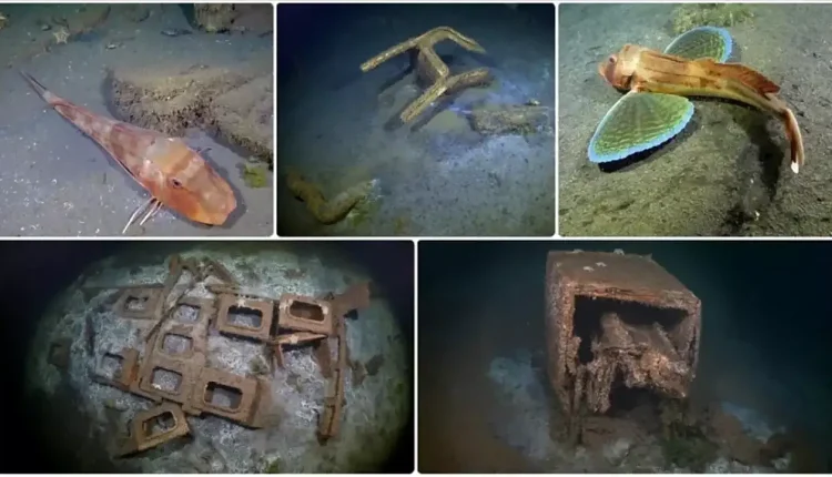 İşte 17 Ağustos depremi batık şehir görüntüleri 17 Ağustos depremi denize gömülen batık şehir nerede?