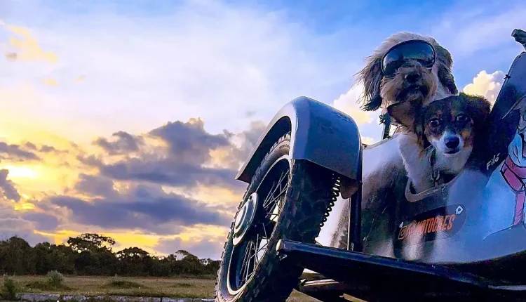 2025 iPhone Fotoğraf Ödülleri Kazananları Açıklandı: Bu Kareler Teknoloji Ve Sanatı Buluşturuyor!