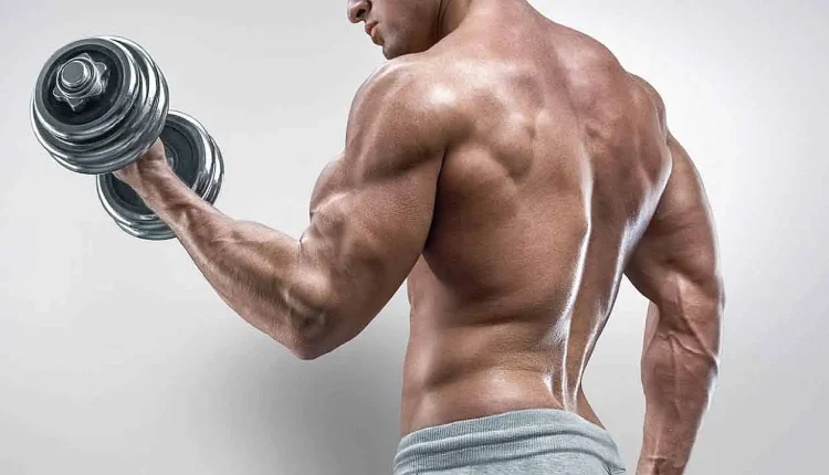 Biceps Nedir?