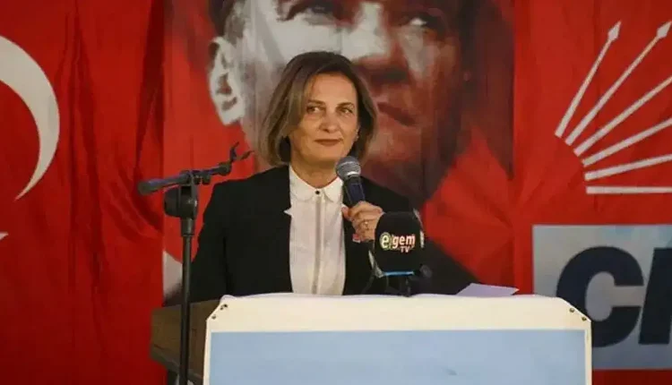 CHP Uşak İl Başkanı Sevinç Soyer Yazgan'ın Kimliği ve Siyasi Kariyeri Hakkında Bilgiler