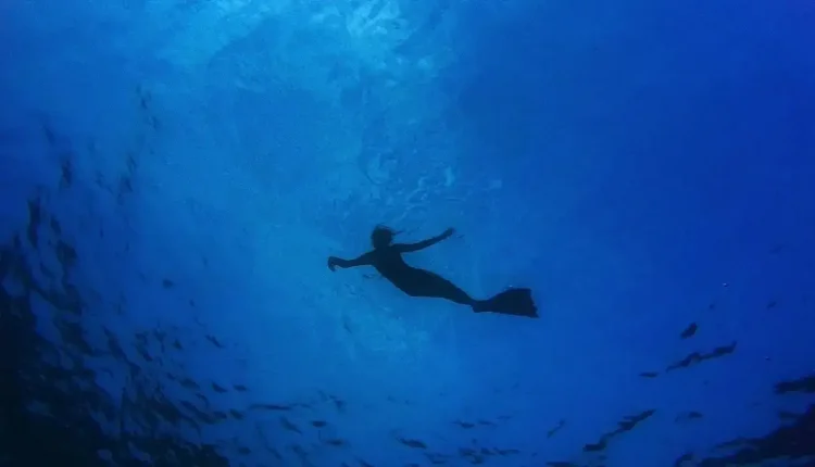 Deniz Korkusu Ne Demek?