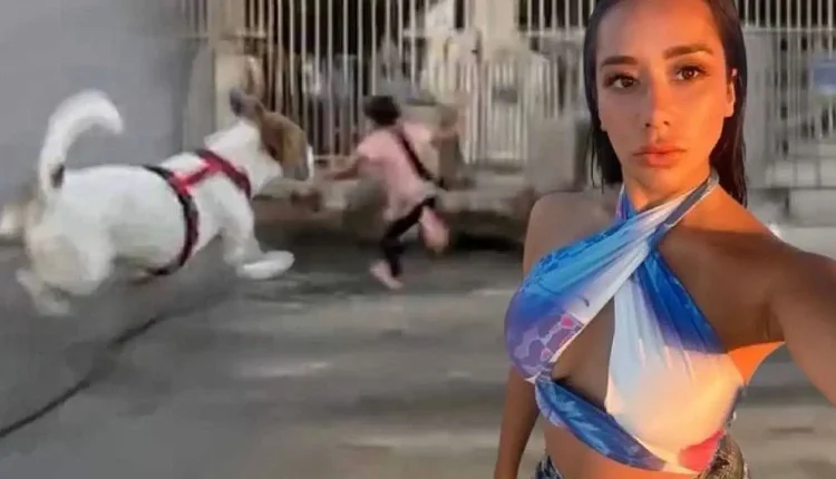 Dijan Köse kimdir, nereli, neden gündemde?