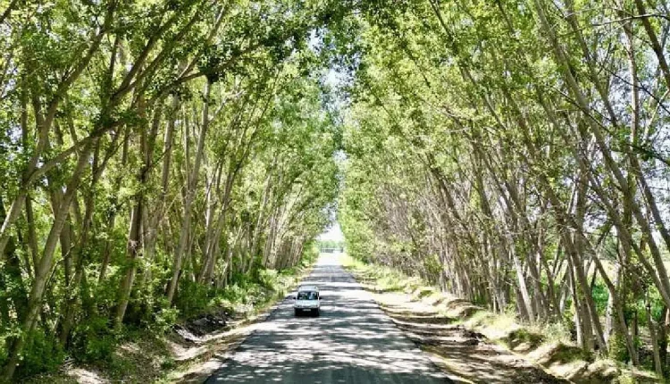 Doğanın Eşsiz Güzellikleriyle Hayran Bırakan Destinasyon: Tokat!
