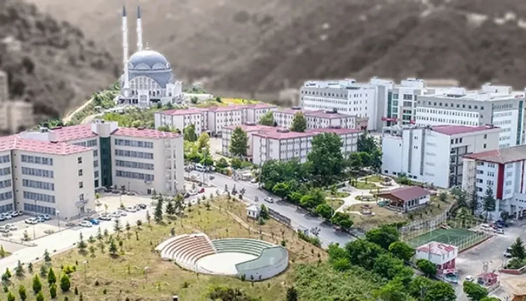 Giresun Üniversitesi 16 Öğretim Üyesi Alıyor: Başvuru Detayları ve Kadrolar