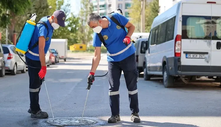 İzmir'de Haşereyle Mücadele İçin 24 Saat Süren İlaçlama Çalışmaları Başlatıldı
