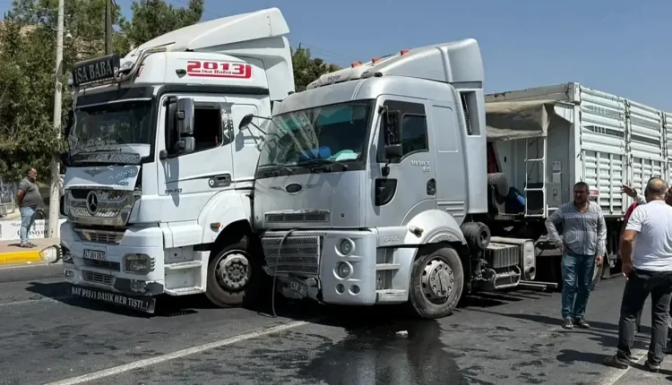 Mardin'de Zincirleme Trafik Kazası: 1 Yaralı!
