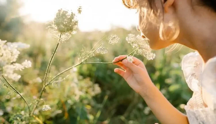 Psikolojik Araştırma: Veda Eksikliği Ruh Sağlığını Nasıl Etkiliyor?