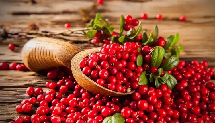 Turna Yemişi Nedir?