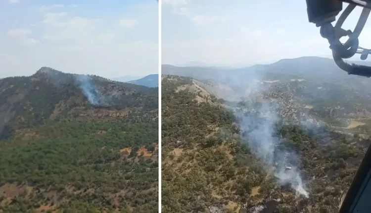 Rüzgarın Etkisiyle Şırnak'taki Orman Yangını Büyüyor: Mücadele Devam Ediyor